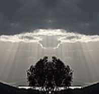 aart. Gallery of Fine Art - Hotel Gold Coast