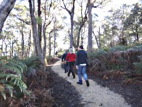 Bridport Walking Track - Hotel Gold Coast 0
