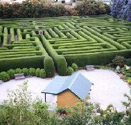 Westbury Maze and Tea Room - Hotel Gold Coast