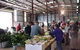 Burnie Farmers' Market - thumb 0