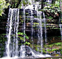 Mt Field National Park - Hotel Gold Coast