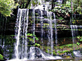 Mt Field National Park - Hotel Gold Coast 0
