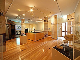 Tasmanian Tiger Exhibition - Hotel Gold Coast 0