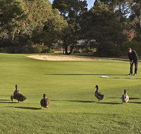 Royal Hobart Golf Club - Hotel Gold Coast
