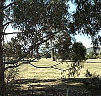 Cygnet Public Golf Course - Hotel Gold Coast
