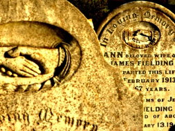 Book Penguin TAS Attractions Hotel Gold Coast Hotel Gold Coast