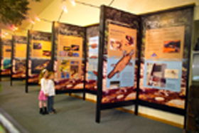 Platypus Experience - Hotel Gold Coast 0