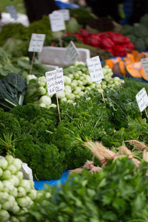 Salamanca Market - Hotel Gold Coast 5