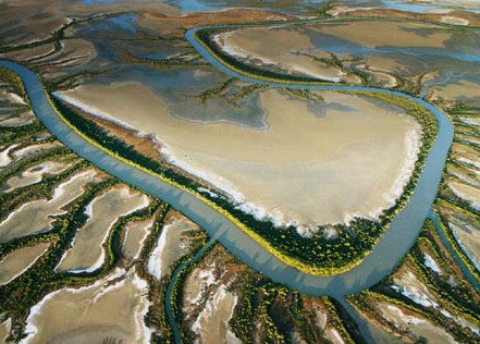 The Wilderness Gallery - Hotel Gold Coast 0