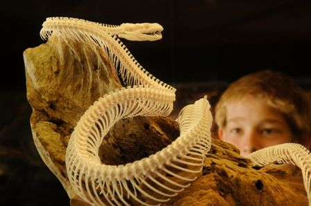 Araluen Cultural Precinct - Hotel Gold Coast 4