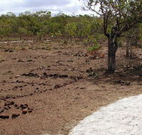 Wurrwurrwuy Garanhan Macassan Beach Interpretive Walk - Hotel Gold Coast