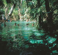 Mataranka Thermal Pool - Hotel Gold Coast