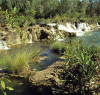 Flora River Nature Park - Hotel Gold Coast
