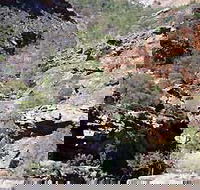 Serpentine Chalet Bush Camping Area - Hotel Gold Coast