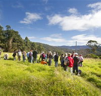 Apple Tree Park - Hotel Gold Coast