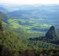 Springbrook Plateau Springbrook National Park - Hotel Gold Coast
