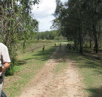 Coombabah Lakes Conservation Area - Hotel Gold Coast