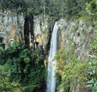 Gondwana Rainforests of Australia - Hotel Gold Coast
