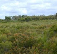 Pine Ridge Conservation Park - Hotel Gold Coast