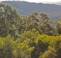 Conondale National Park - Hotel Gold Coast