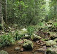 Amamoor State Forest - Hotel Gold Coast