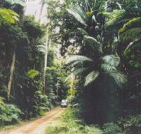Conondale Great Walk - Hotel Gold Coast