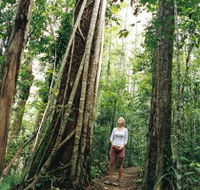 Wet Tropics - Hotel Gold Coast