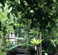 Flecker Botanic Gardens - Hotel Gold Coast