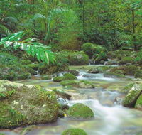 Mossman Gorge Daintree National Park - Hotel Gold Coast