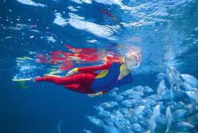 Great Detached Reef Dive Site - Hotel Gold Coast 0