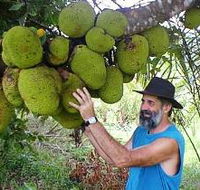 Cape Trib Exotic Fruit Farm