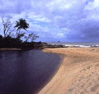 Russell River National Park - Hotel Gold Coast