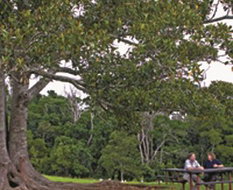 Book Ravensbourne QLD Attractions Hotel Gold Coast Hotel Gold Coast
