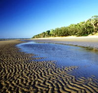 Kinkuna Section - Hotel Gold Coast