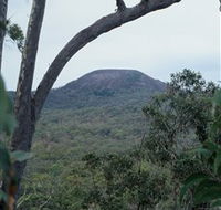 Mount Fox - Hotel Gold Coast