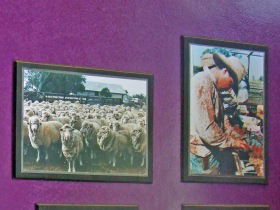 Charleville Photographic Display - Hotel Gold Coast 0