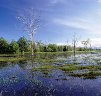 Tyto Wetlands - Hotel Gold Coast