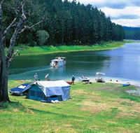 Danbulla National Park and Danbulla State Forest - Hotel Gold Coast
