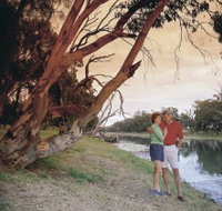 The Looking Glass - Hotel Gold Coast