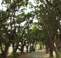 Mango Avenue - Hotel Gold Coast