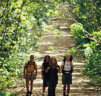Wet Tropics Great Walk - Hotel Gold Coast