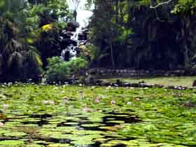 Queens Park Waterfall - Hotel Gold Coast 0