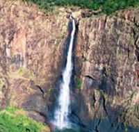 Buujan Quiinbiira Walk Wet Tropics Great Walk - Hotel Gold Coast