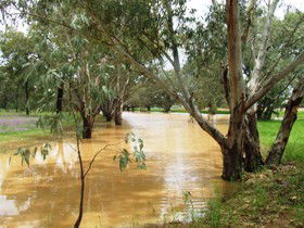 Saddliers Waterhole And Hamburg Creek - Hotel Gold Coast 0