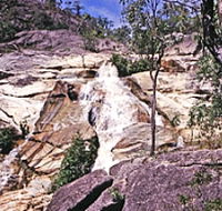 Emerald Creek Falls - Hotel Gold Coast