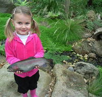 Wild Food Farm  Cafe - Hotel Gold Coast