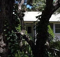 Melaleuca Gallery - Hotel Gold Coast