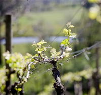 Norton Estate Wines - Hotel Gold Coast