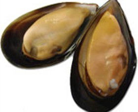 Sea Bounty - Hotel Gold Coast 0