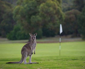 Anglesea Golf Club - Hotel Gold Coast 0